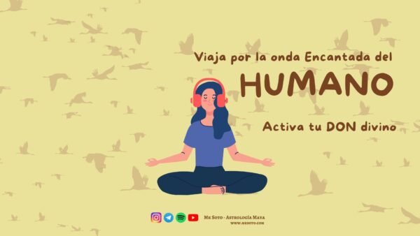 8- Viaje por la onda encantada del HUMANO