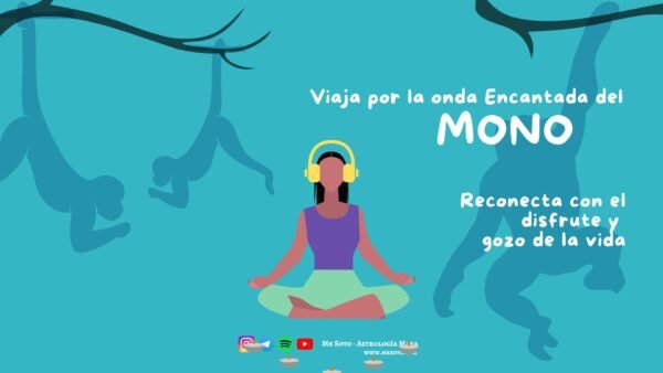 K- Viaje por la onda encantada del MONO